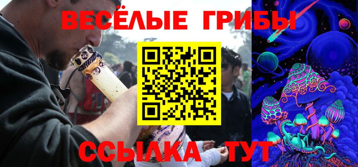 Псилоцибиновые грибы мицелий Усть-Джегута