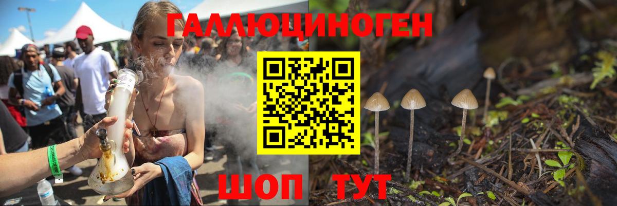 магазин    Псилоцибиновые грибы Cubensis  Вход с VPN  Усть-Джегута 